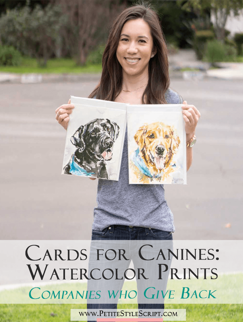 Cards for Canines Review | Dog Lover Gift | Giving Back Series | Watercolor portraits greeting cards | Rescue dog shelter | Etsy shop Puppy