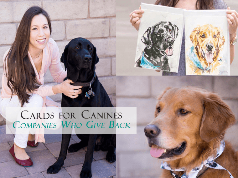 Cards for Canines Review | Dog Lover Gift | Giving Back Series | Watercolor portraits greeting cards | Rescue dog shelter | Etsy shop Puppy