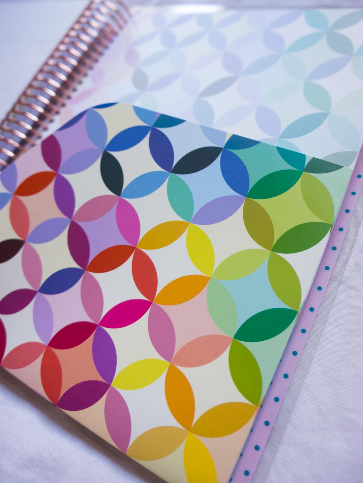 Ultimate Planner Review | Erin Condren | Healthy mind organization stylish, inspirational & customizable life planners & accessories | Carry-all clutch | Stickers