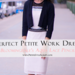 Perfect Petite Work Dress